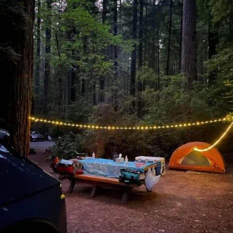 THE CAMP LAMP