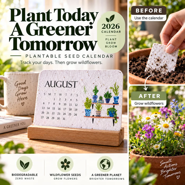 🌱Eco-Friendly Plantable “Timeless” Seed Calendar 2027 – Free Express Shipping